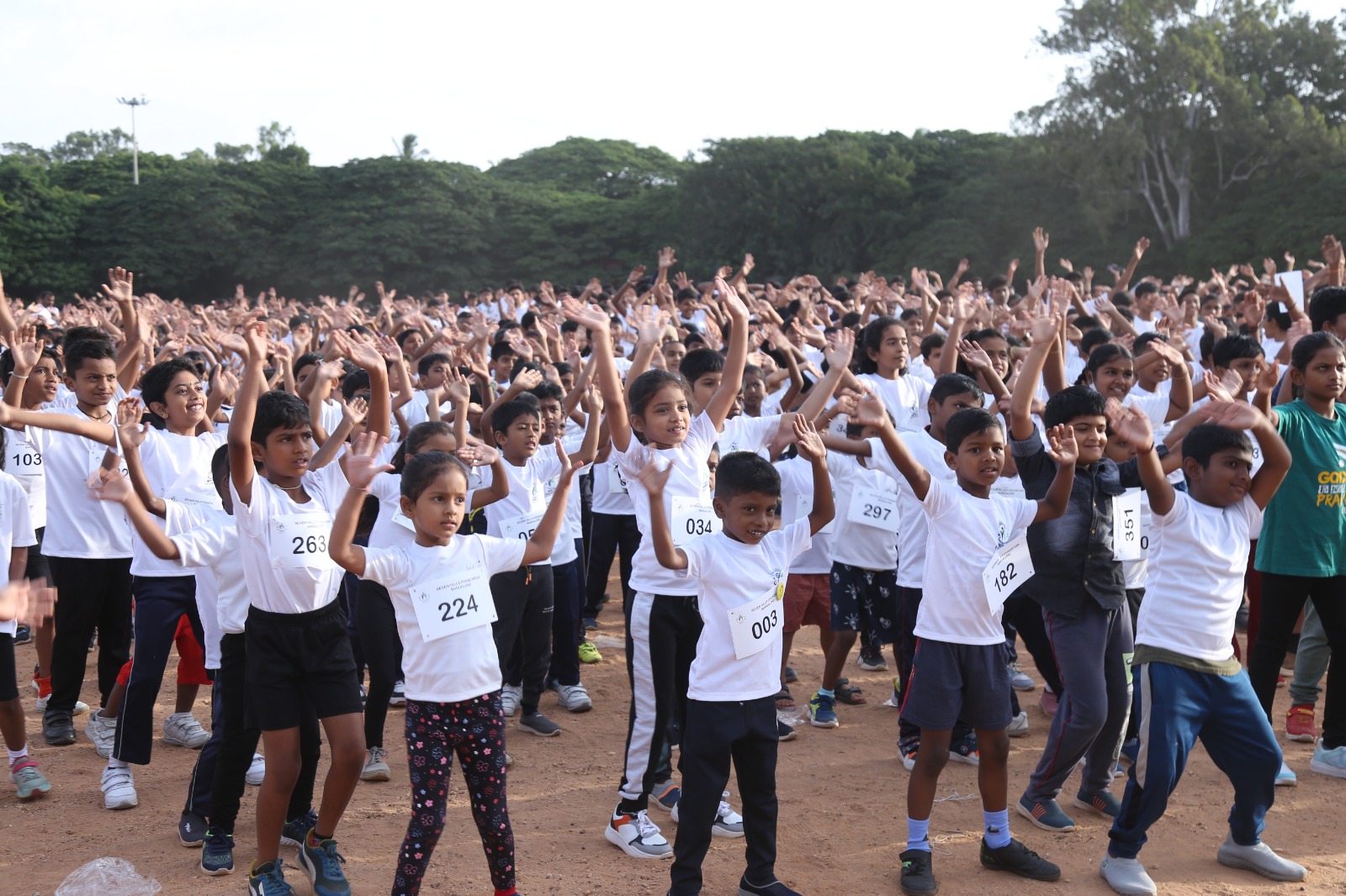 Seven Hills activity image 2